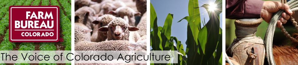 BarnMedia tweet media