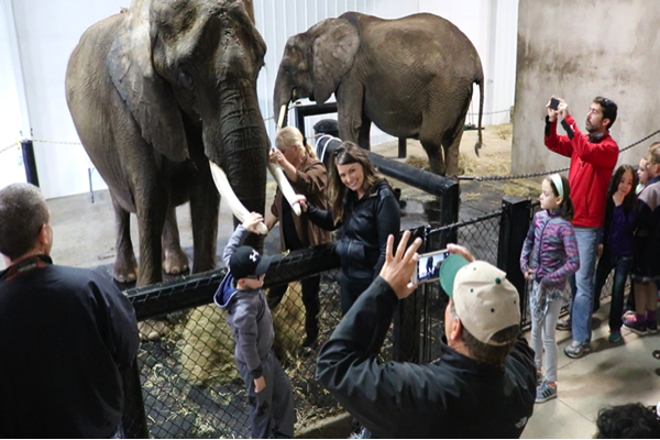 visitfrenchlick's tweet photo. Did you know there are elephants and giraffes located 5 minutes outside of French Lick? Check them out this holiday weekend! #Wilstem https://t.co/TqZMk6gMOZ