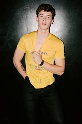 camilaonchart's tweet photo. Eu amo as Mendes Army, mas já que é uma batalha de pics hot eu só jogo @ShawnLegendas

My #TeenChoice #ChoiceMaleArtist is @ShawnMendes https://t.co/ZIPx1hdKN3