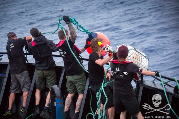 SeaShepherdPaul's tweet photo. #TBT: Feb. 7 2015 #SeaShepherd Shuts Down Operations of Thunder &amp; Confiscates Illegal Fishing Gear in #OpIcefish
@SeaShepherdSSCS https://t.co/YQ3aHVkqMf
