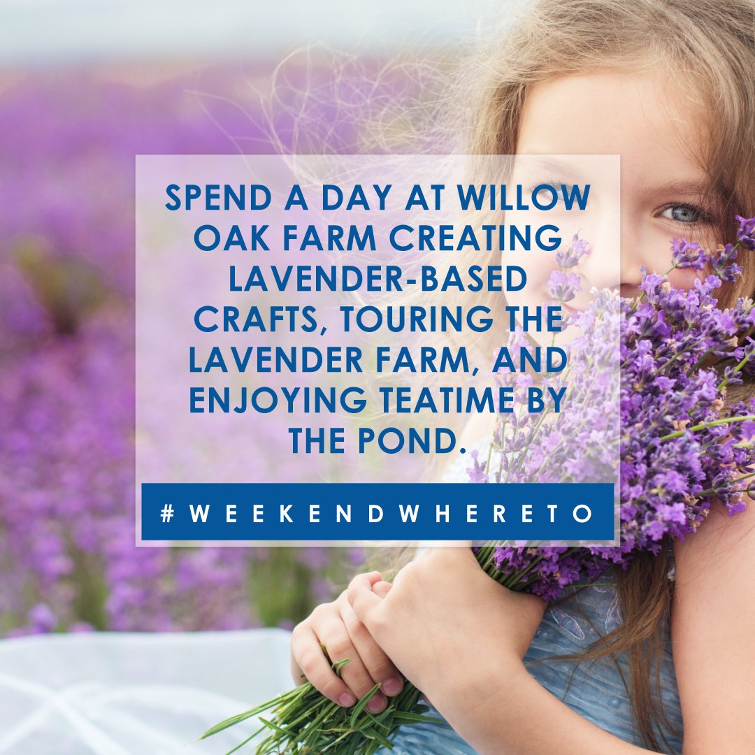 celebreeschool's tweet photo. Enjoy beautiful flowers in Severn! #WeekendWhereTo https://t.co/mmZ54h815S