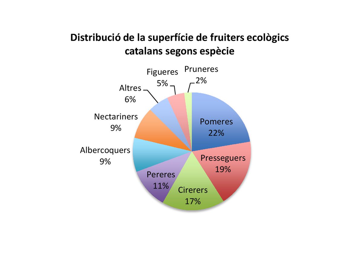 AlimentacioEco tweet picture