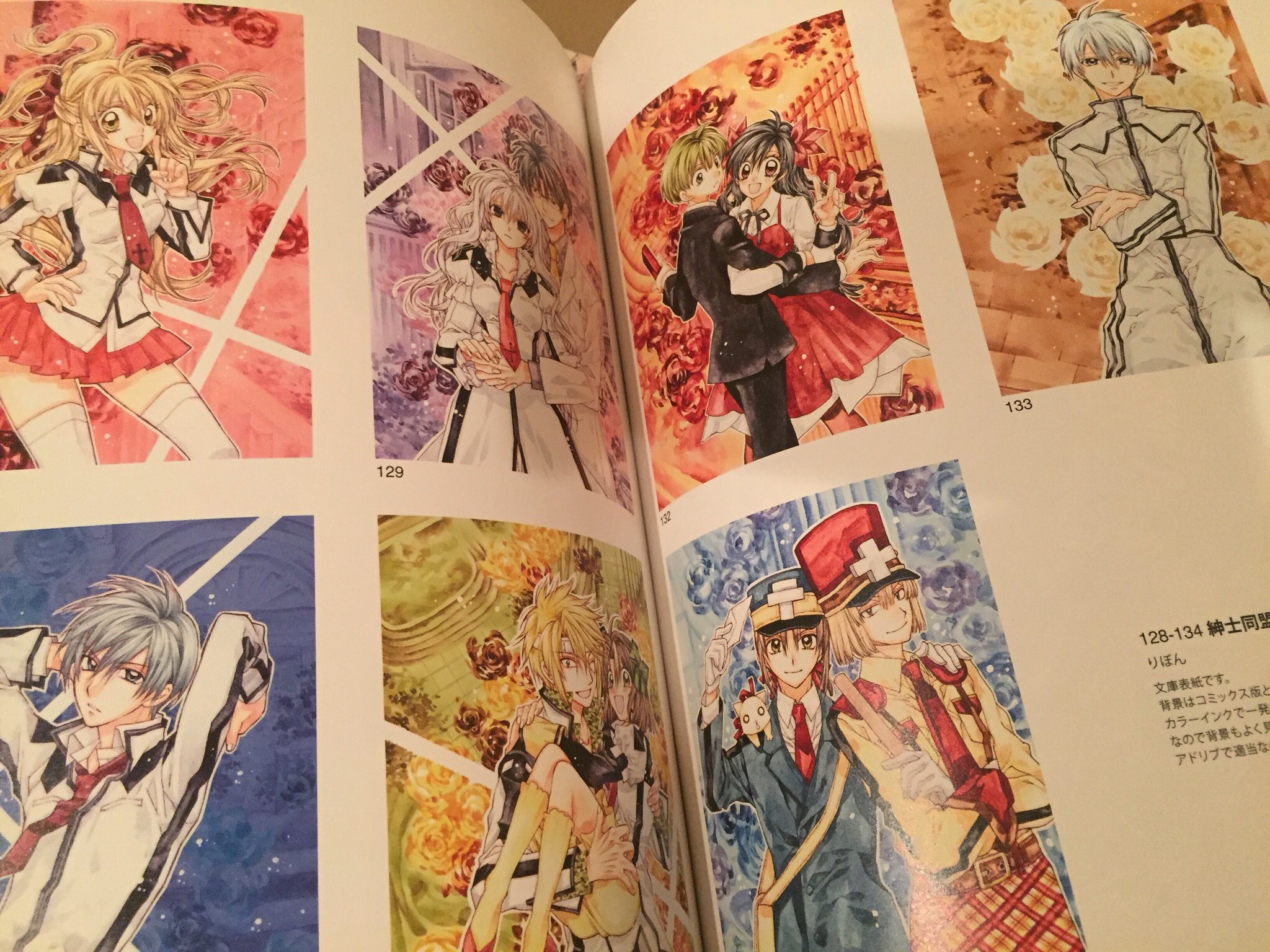 種村有菜原画展 -20th ANNIVERSARY- 画集 図録 - メルカリ
