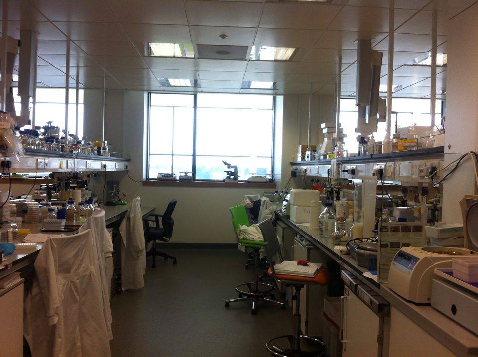 FranceinIreland's tweet photo. Great to see the work of #Plant #Science Lab of @ucdscience yesterday, where French researchers work on the MSCA Project ! #Biology https://t.co/bWHDQh0B3R