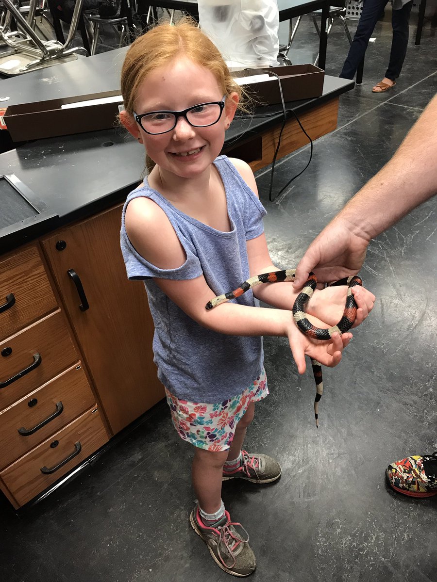 DrJJSully's tweet photo. Huge shout-out to #ExploreSPS teachers Beth Owen and Gloria Gammel for making my girl's morning @Parkview_Viking special! #shelovessnakes https://t.co/zTLtwUXtZD