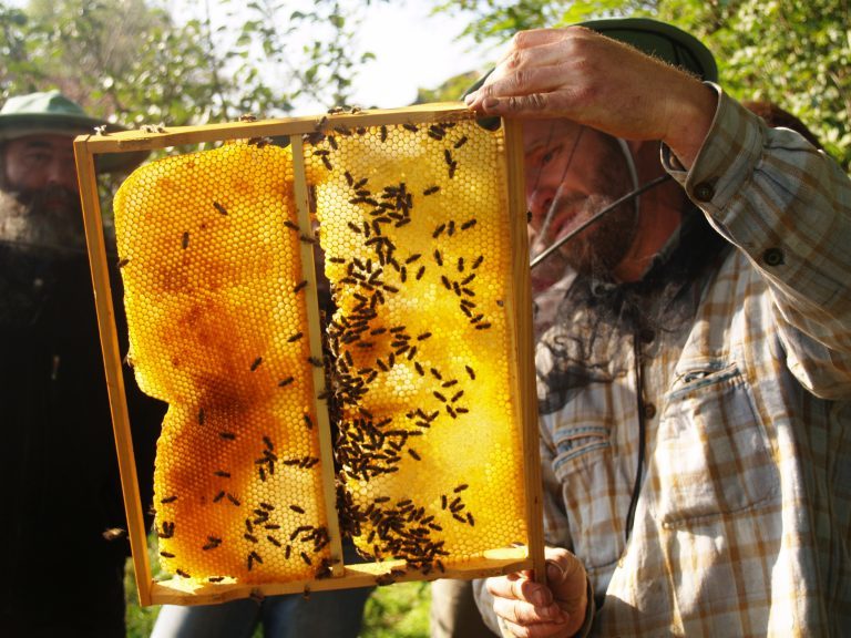 Experimental Community Organising – Transition Hungary bit.ly/2suyL6f 
The first in a series of posts from Transition Hungary – S…