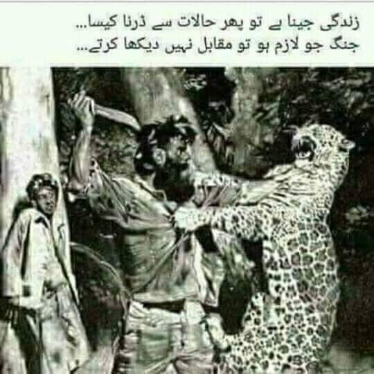 Haris_Budhani's tweet photo. https://t.co/FrbZNy9Wq5