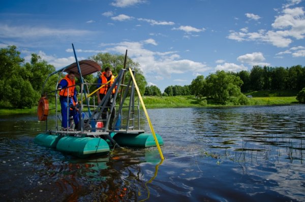 В рамках партийного проекта "Экология России" спасатели Управления по делам ГО и ЧС приступили к очистке Тезы от растительности.