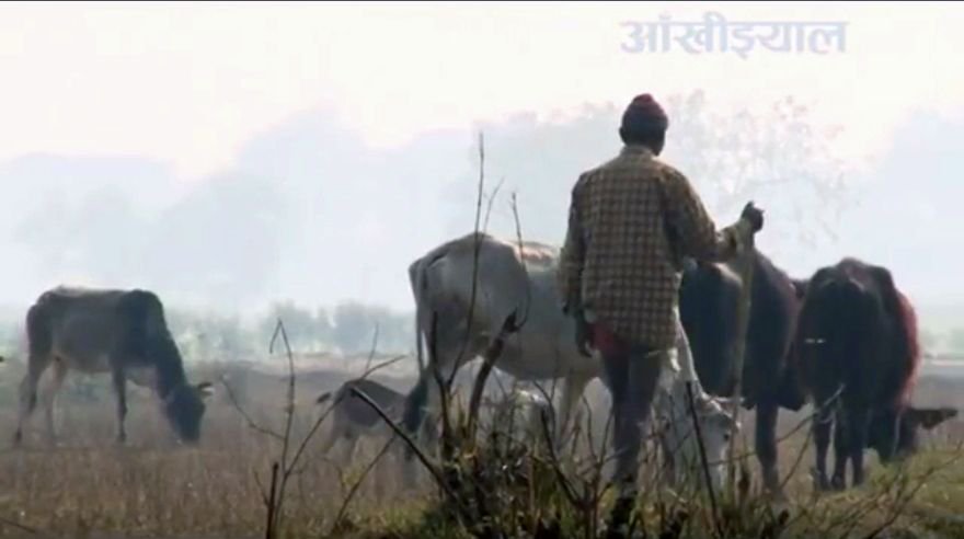 icimod's tweet photo. Farmers in Saptari use solar powered irrigation pumps to irrigate their fields – Mohan Manandhar, #NEFEJ #SPIPS https://t.co/6HvYIg0F9D https://t.co/63eUispRow