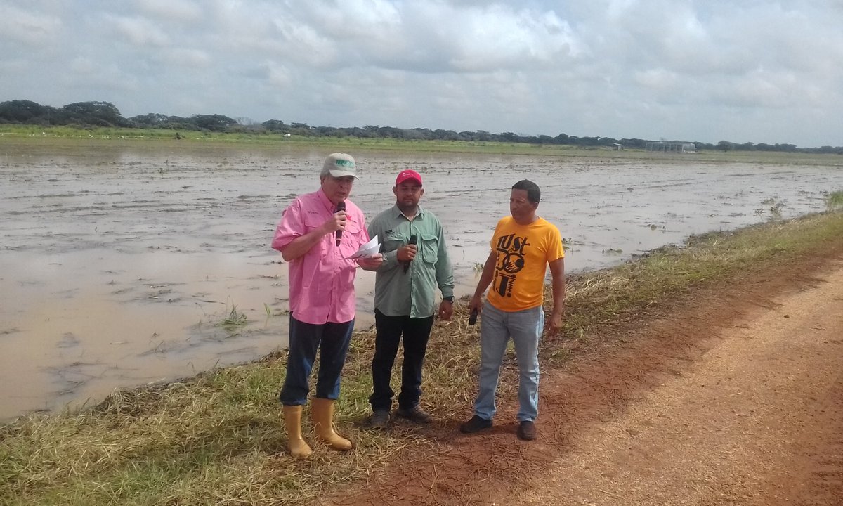 MinAgriculturaV's tweet photo. #AHORA | Desde Calabozo realizamos la grabación de nuestro programa #CultivandoPatria 53 mostrando el procesamiento del arroz en #Guárico https://t.co/Ben2WB9bis