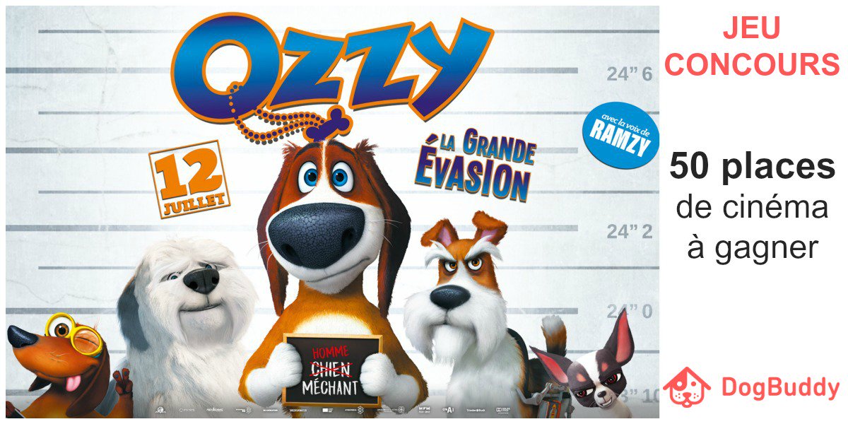 roverdotcom_fr's tweet photo. Gagnez votre place de ciné pour OZZY ! https://t.co/ATaZFfwubt #jeuconcours #chien @city_pattes @frimoussedog @BIOGANCE @MJ_The_Beagle https://t.co/sENnAZZWiK