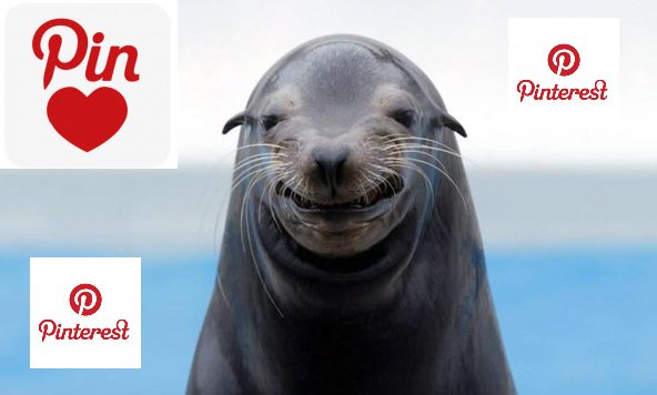 FOCA NO REPIN POVO !!
br.pinterest.com/jrjales/

#SDV #RTW

#BetaAjudaBeta
#TimBetaLab
#TimBeta #blablablametro