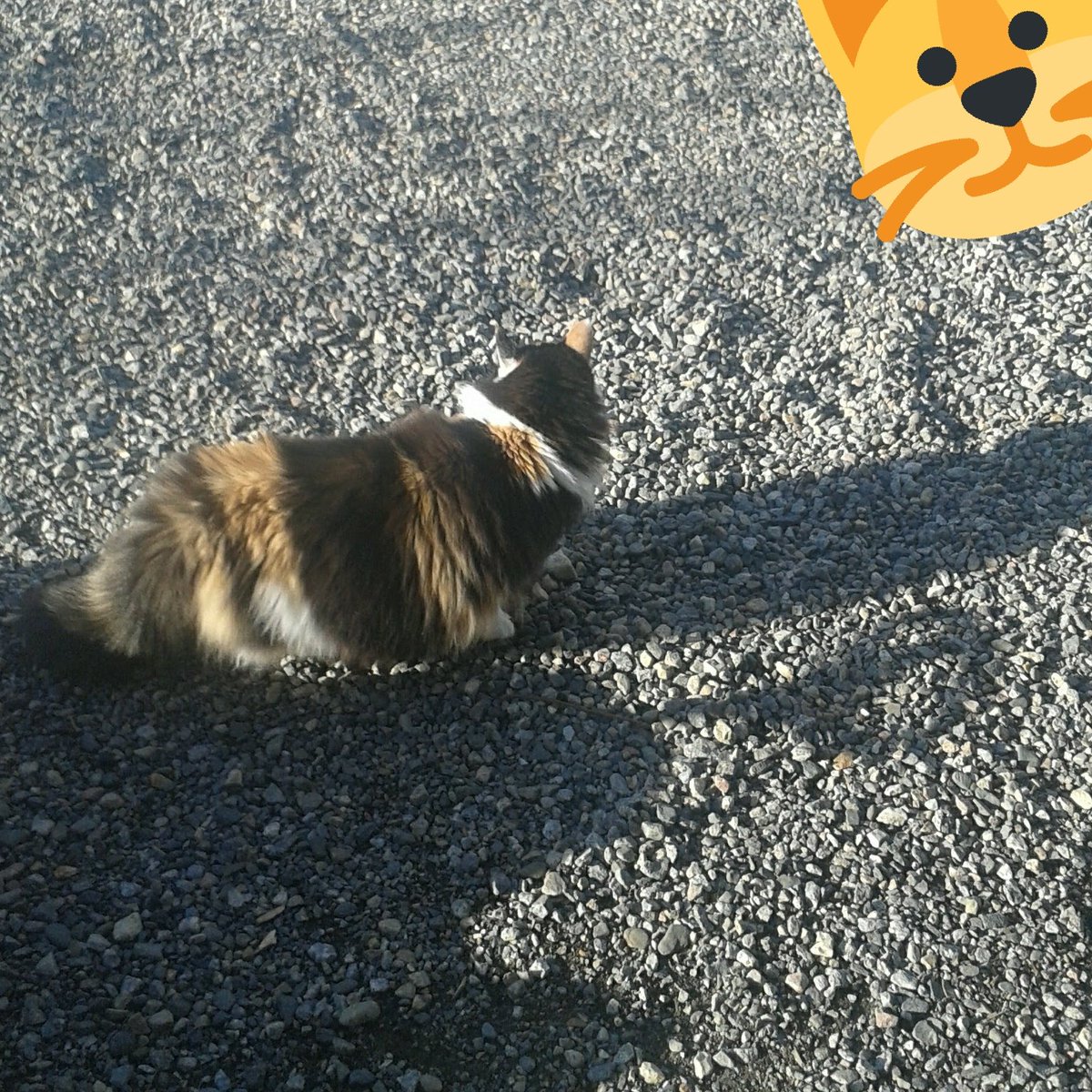 ItsPip075's tweet photo. Its Pip https://t.co/47VZrlgXb9
