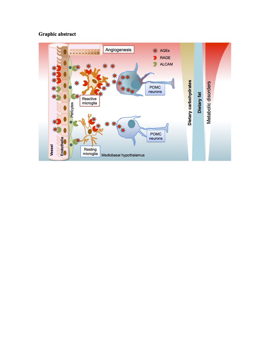 Dietary #sugar critical for #HFD-induction of #hypothalamic #inflammation via
#AGEs
#microglia #obesity tinyurl.com/molmet-30239