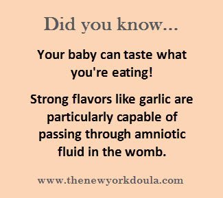thenewyorkdoula's tweet photo. Interesting #pregnancy fact :) https://t.co/MRV0Dfj32p