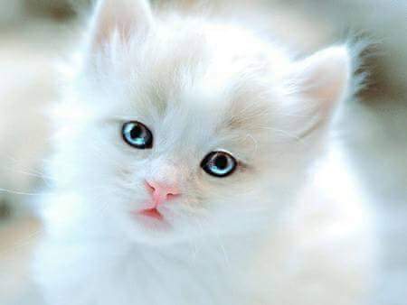 pretty_nousa's tweet photo. https://t.co/FCNk0mjrGZ