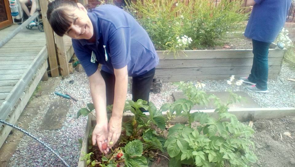 3LCare's tweet image. yesterdays #30DaysWild challenge was to forage for food! We managed gooseberries and strawberries! #teampurple #livelovelaugh