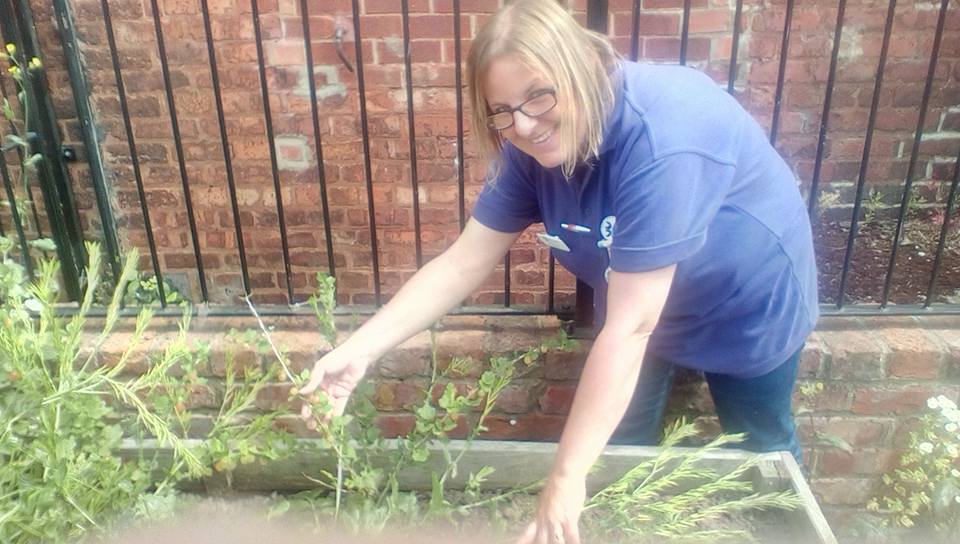 3LCare's tweet image. yesterdays #30DaysWild challenge was to forage for food! We managed gooseberries and strawberries! #teampurple #livelovelaugh