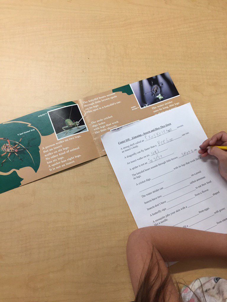 WonderfulonesAB's tweet photo. Insect vocabulary https://t.co/ndx18iRIyN