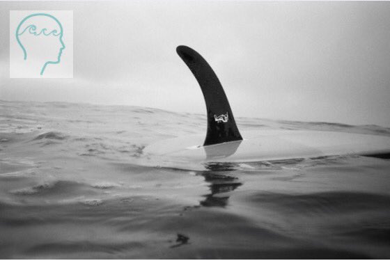 SurfsetTO's tweet image. 2 DAYS before Brainwaves 2017! Tell your friends and grab a ticket today! Only $10 and treats from The Greenhouse Juices &amp;amp; The Pop Stand!