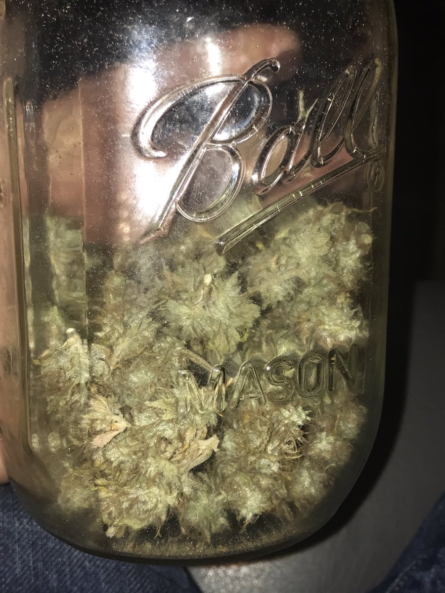 SeedLivesMatter's tweet photo. Homegrown👀 product of the #MicroPlug #BeYourOwnPlug #GrowYourOwn #Ledgrow https://t.co/raszmgT3qr