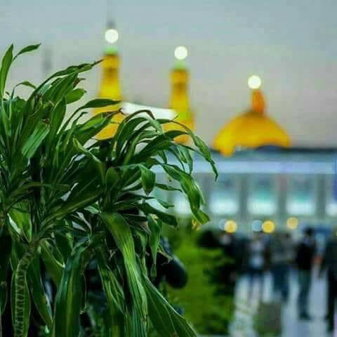 y__12m's tweet photo. @B_A_TT @bbb3133 @Hayrunisaseyid @abou_hussein1 @hh__h21 @w__es @MMAJ85 @ali_shrefe @ff_dd43 @I00000O @sammr3 @radrrra @rmh3744_ @f_a_t_m_a_y_313 @HodJawad @jawad321581 ادري اشبيك تنغث من اجيب اسمه
على الفطره عشكته ابدون ما اشوف
ودمعي يصيح حب حسين جنني
انسى روحي والكون كلشي يصير
بس انسى حسيني بهاي تعذرني https://t.co/jYSuPUO3Sn