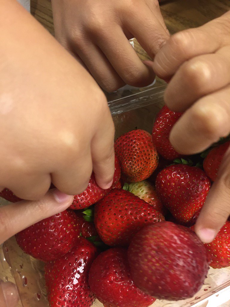 yhelvesia's tweet photo. #studentengagement #explore#seeds#SpecialEd https://t.co/0Z0xWf03uy