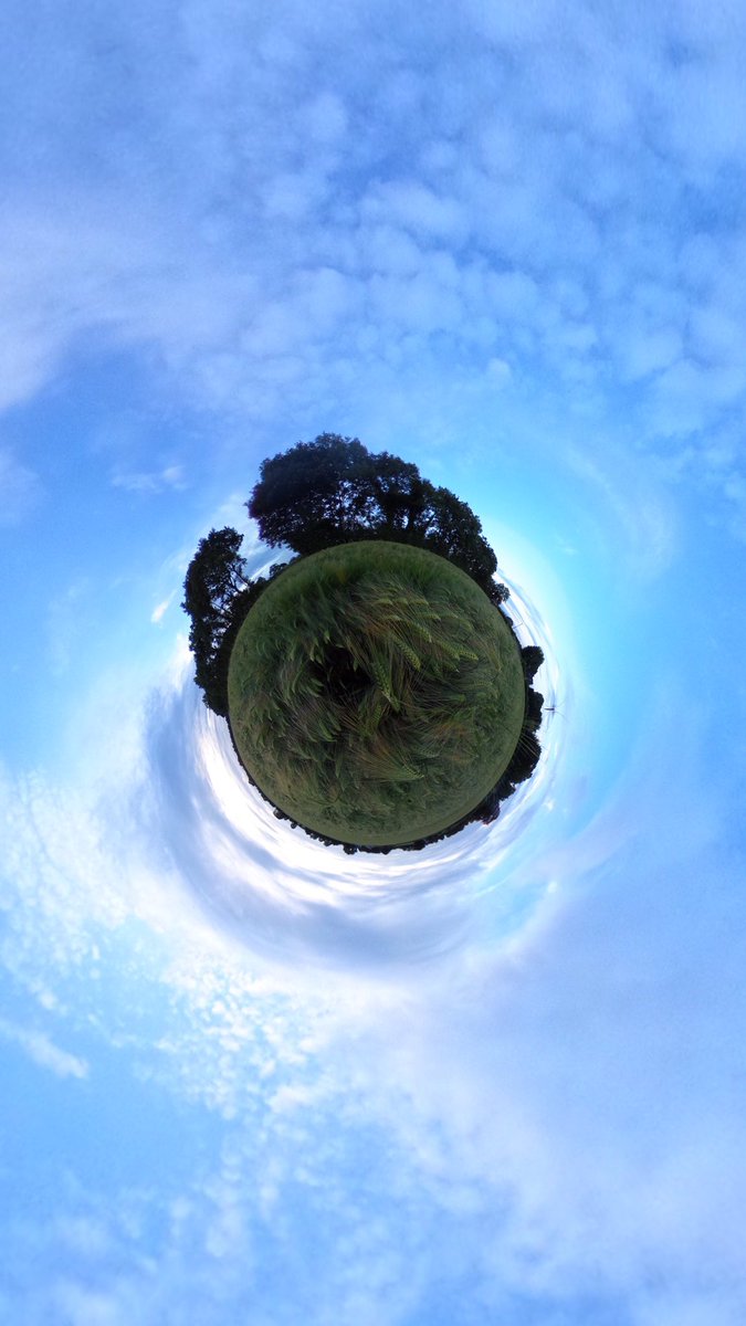 CarlowWeather's tweet photo. Having some in a field of Barley with 360 camera #ThetaS @NolanFarming https://t.co/IgZ3rUhpXc