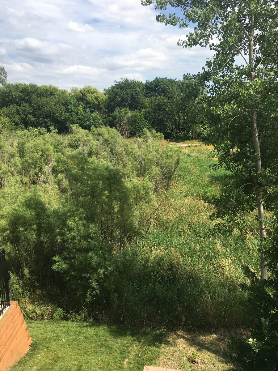 WindowsBdm's tweet image. 