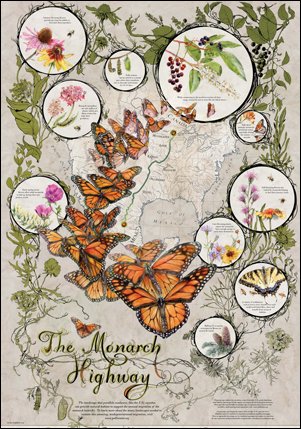 #PollinatorWeek - You Can Help - #BeeKeepers #AmericanBeekeepingFederation  bit.ly/28PazTh