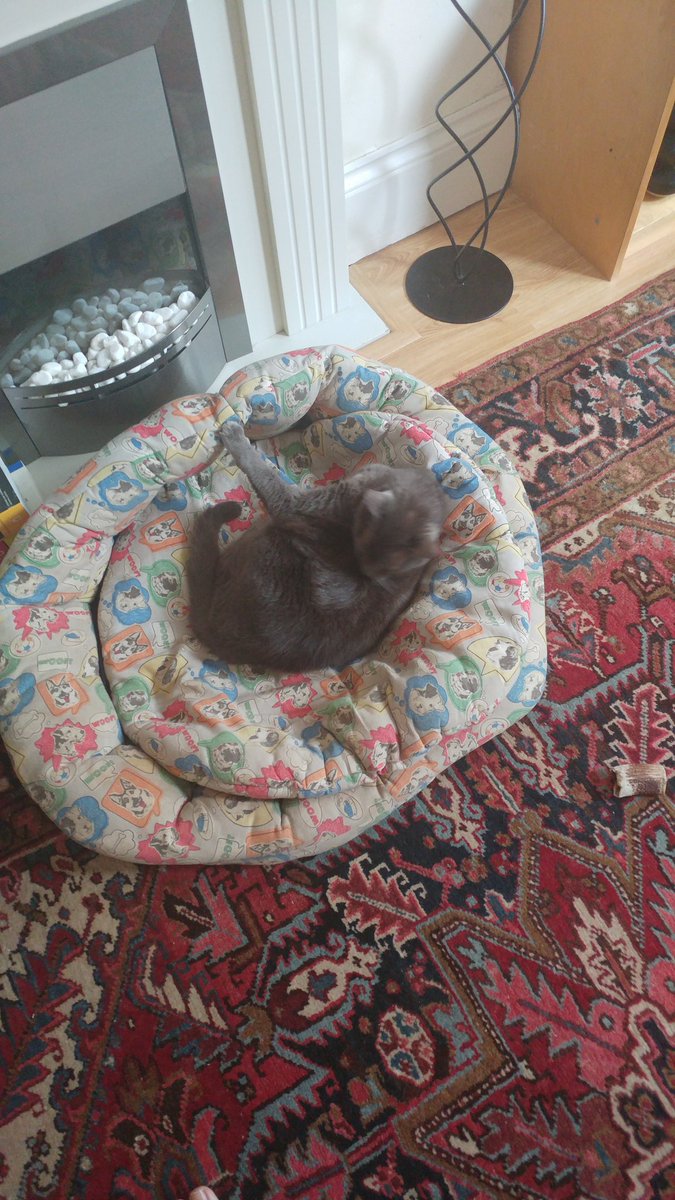 RubyKMB's tweet photo. Squatters! https://t.co/UFd8hPxEjC