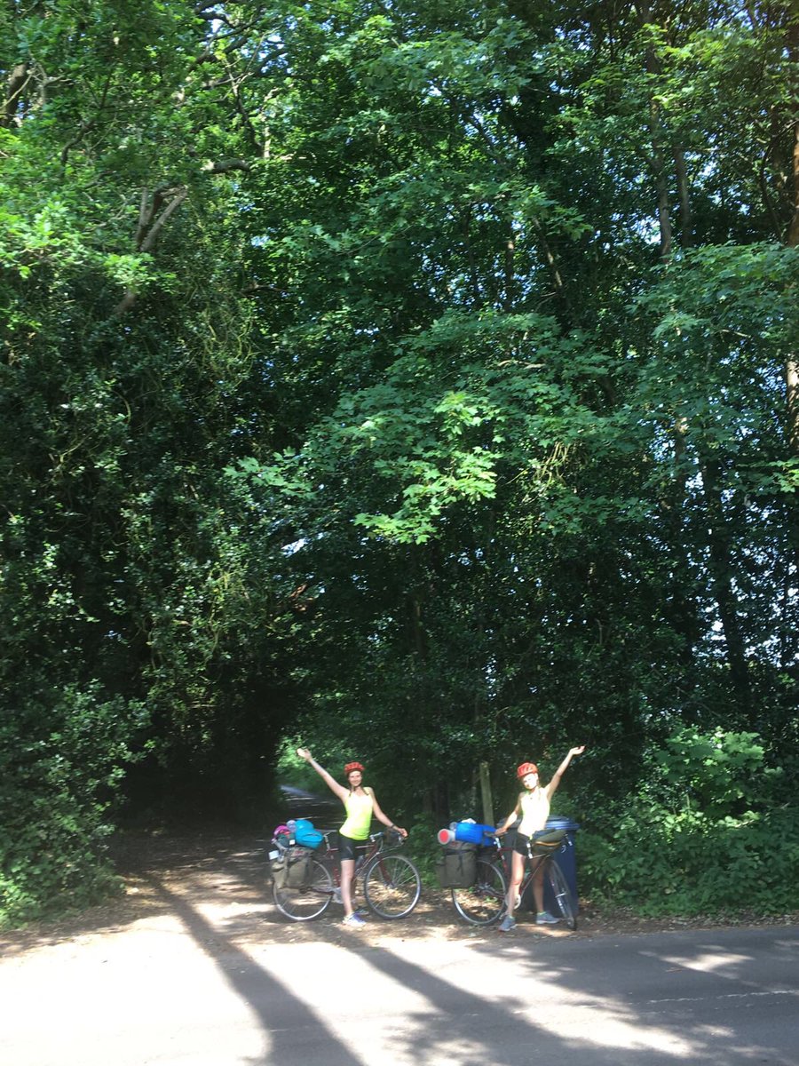 The HandleBards tweet media