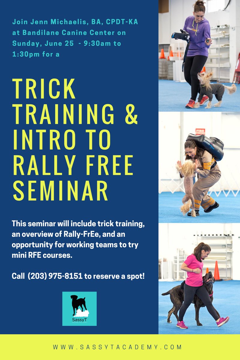 bandilane's tweet photo. We're excited for this Sunday's seminar with @SassyTacademy. Spots are almost full, but u can drop in and audit. #rallyfree #trick&amp;training https://t.co/jmgISvNPxE
