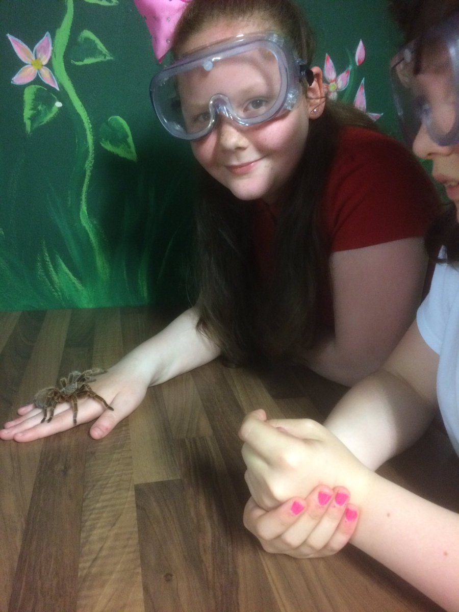DrumparkP6's tweet photo. Is anyone in Class 10 afraid of tarantulas? 🕷🕷@drumparkprimary https://t.co/MsPqFwr0ZD