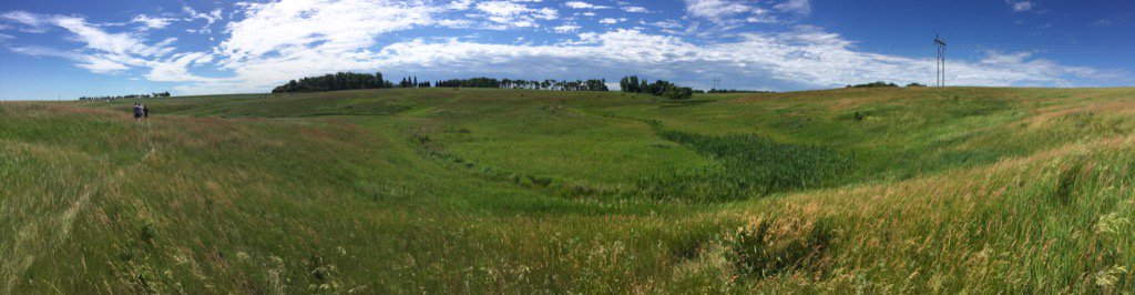 BugLundgren's tweet photo. The prairie @BlueDasherFarm looks beautiful this time of year. 25 acres of unbroken prairie and wetlands on our farm https://t.co/HueKPCZV43