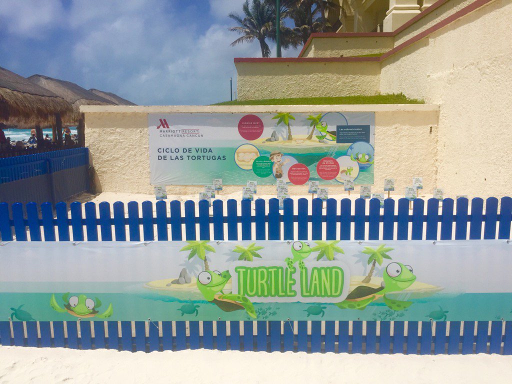 ImaStewardess's tweet photo. Kudos to @MarriottIntl for protecting Sea Turtles!
#TurtleLand #Nursery https://t.co/Zjq528OmD6