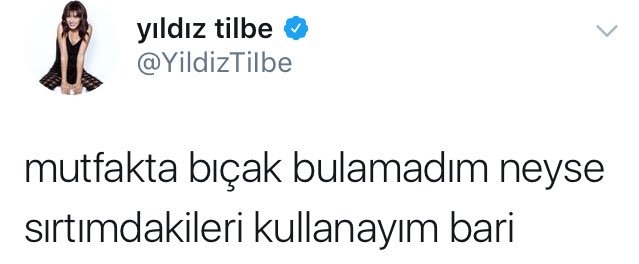 seni çok seviyorum yıldız tilbe
