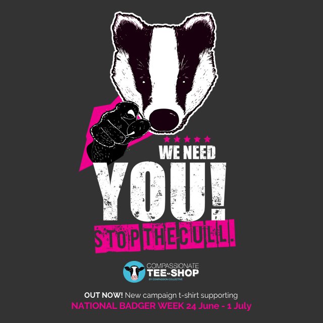 We've launched a #tshirt for <a href="/Nbadgerweek/">National Badger Week</a>! This week 20% of our profits from #badger T sales donated to <a href="/BadgerTrust/">Badger Trust</a> bit.ly/2rZCm8I