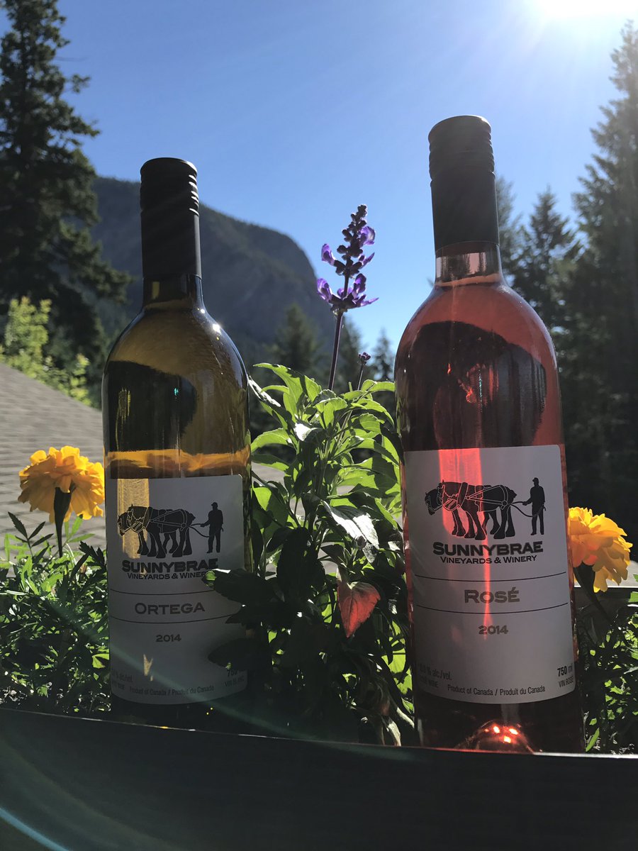 Sunnybrae Winery tweet media