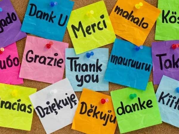 Gratitud:Es reconocer agradecer y a la persona q nos ayudó nos cuidó y pensó en nosotros.
#GCPinversiones #RecuperaValores #FerreterosUnidos