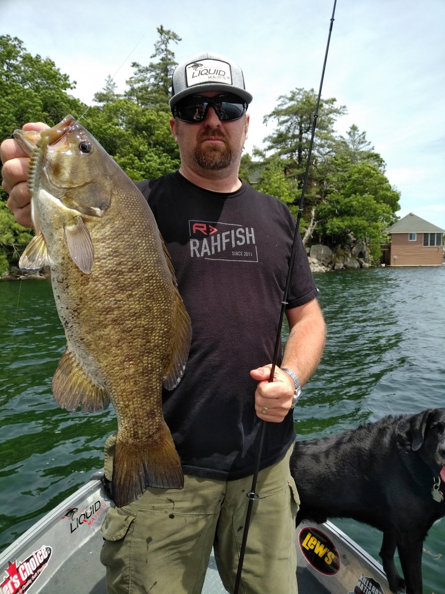 CanuckBassin's tweet photo. Healthy one on @Anglers_Choice #Killshot @LiquidMayhem_ #Shad https://t.co/krwsZrP9M6