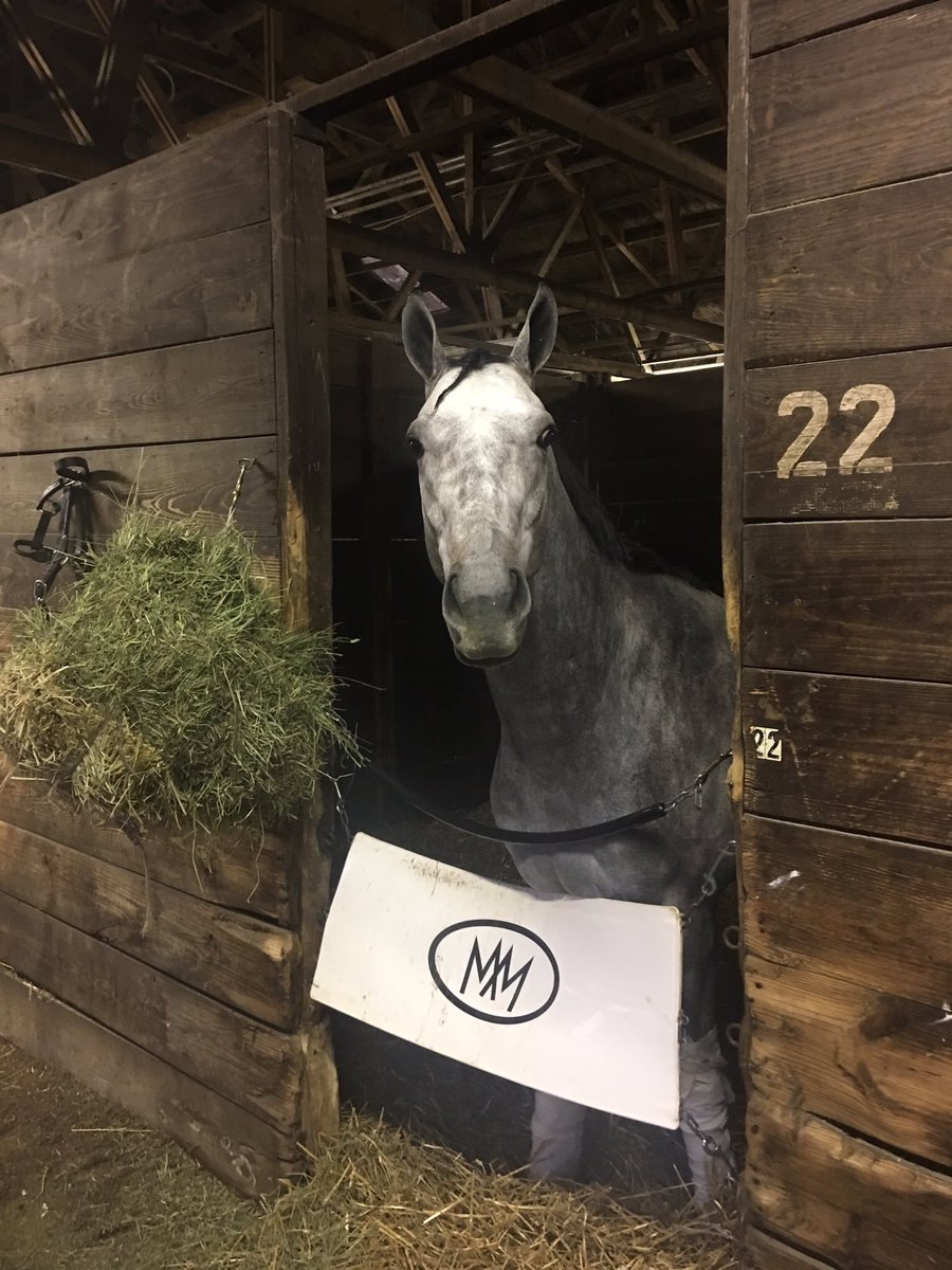 BirdsallBilly's tweet image. Kentucky Derby runner Fast and Accurate going for the GR3 Ohio Derby this Saturday! #fastandaccurate #Ohioderby #Ohio #dreamchasing