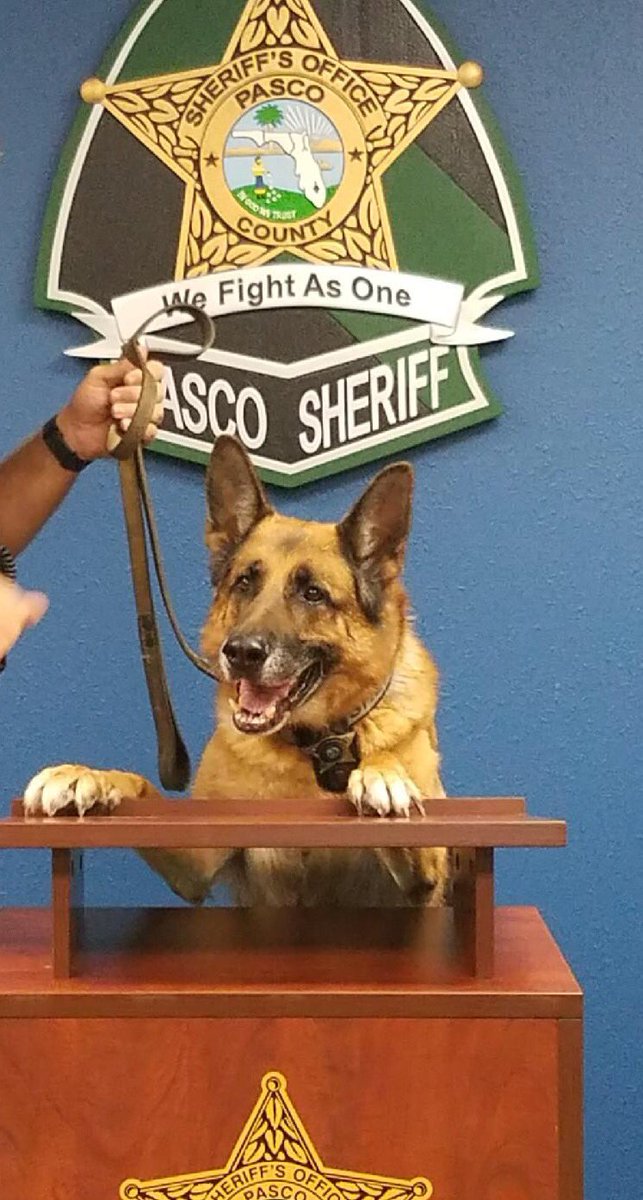 PascoSheriff's tweet image. Alright everyone! Caption this photo, Go!!