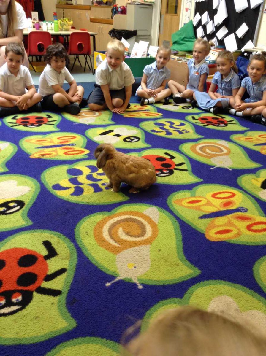 CedarwoodP's tweet photo. Lots of fun in Foundation today, as they were visited by 'Bernard' the Bearded Dragon, 'Matilda' the hamster &amp; 2 lovely rabbits #petsinclass https://t.co/zcYwVwhv8P