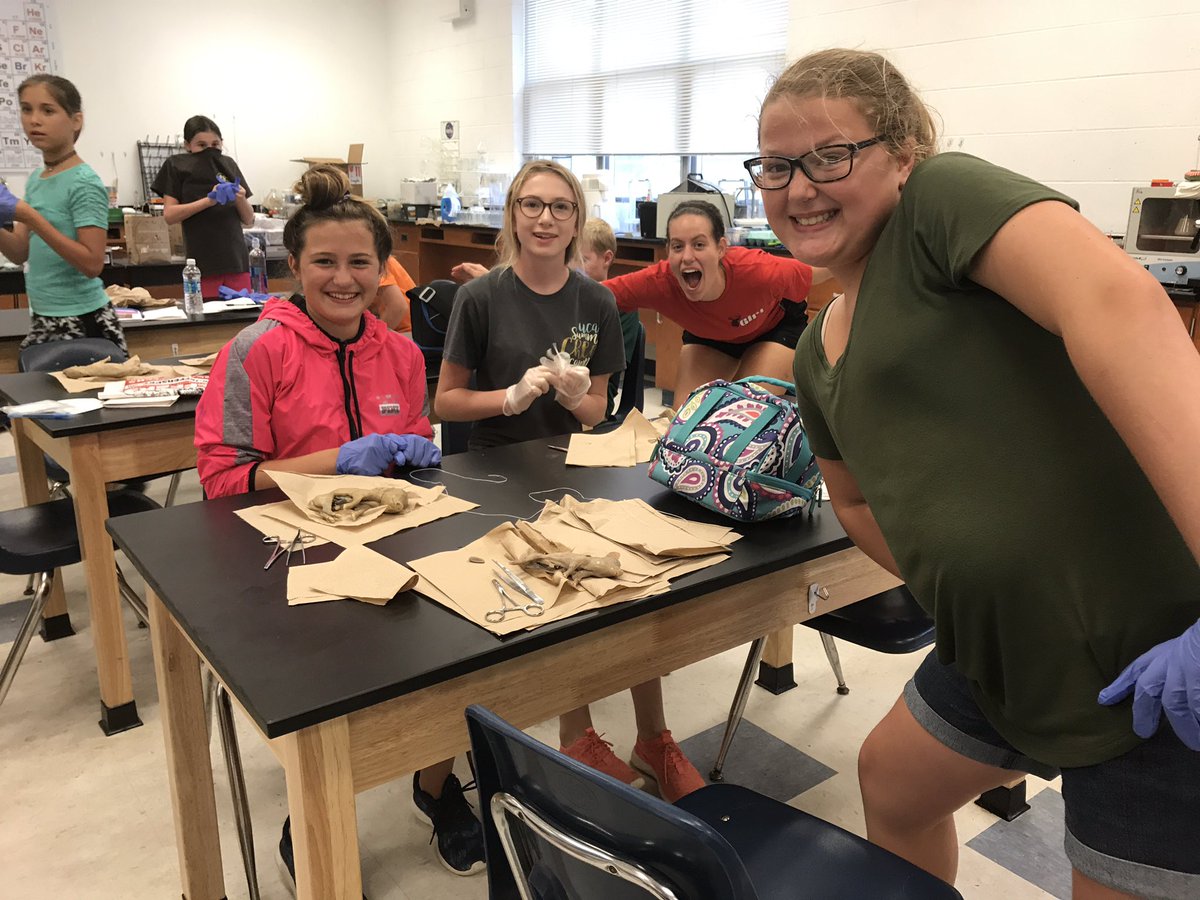 beachji's tweet photo. Middle school students at Bozeman Vet Camp dissecting fetal pigs. #realvetprogram @BozemanAg @BozemanSchool https://t.co/aatszw2bGH