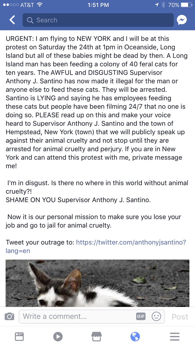 Repost <a href="/ShiraSAstrof/">Shira Scott Astrof</a> Doing all she can to help these poor defenseless animals #StopAnimalCruelty <a href="/AnthonyJSantino/">Anthony J. Santino</a>