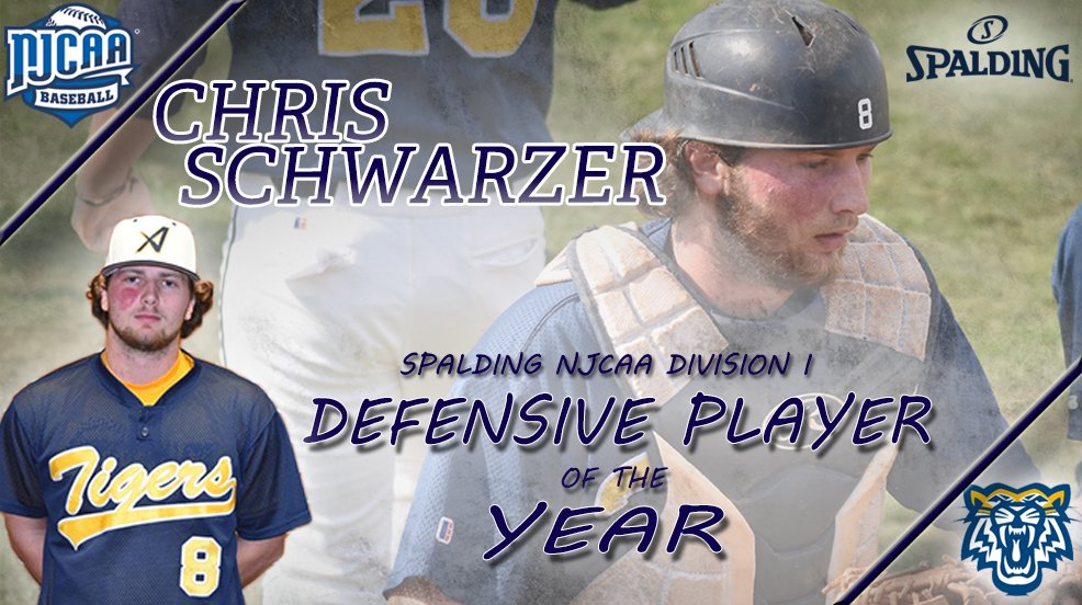 NJCAA's tweet photo. Chris Schwarzer of Andrew College is the @SpaldingBasebal NJCAA DI Defensive Player of the Year for 2017! https://t.co/2yu6Gna5Sy https://t.co/LriURDzhBv