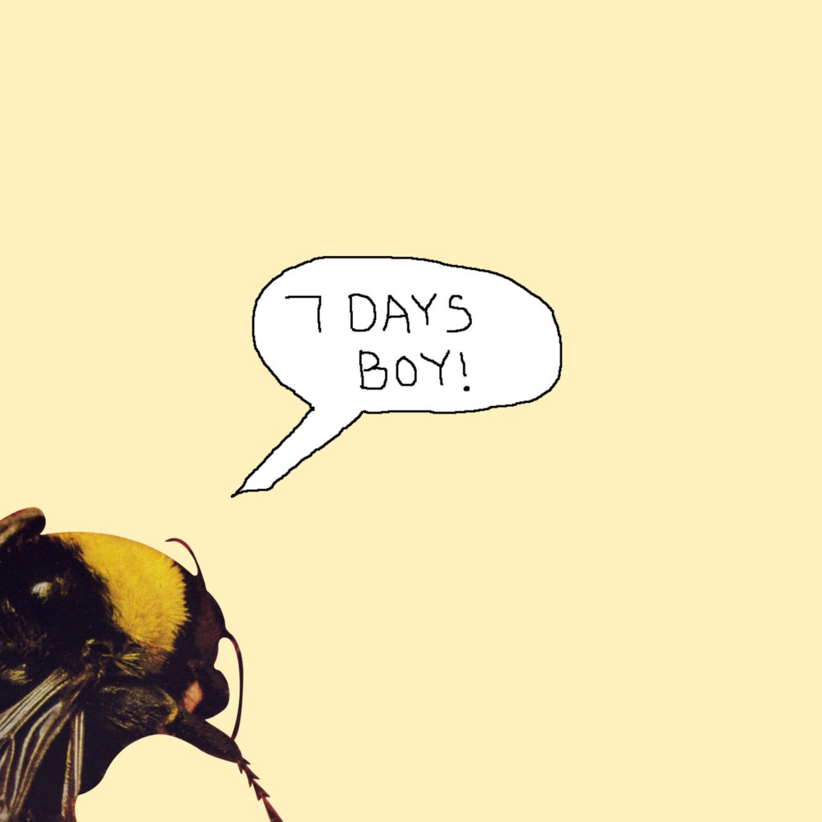 tylerthecreator's tweet image. 