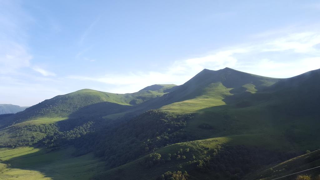 GhislaineBorie's tweet photo. J'ai les yeux qui saignent de tant de beauté... plus ça va plus je l'aime ce #Sancy ! 💚
#myauvergne https://t.co/nWYtGmG41u