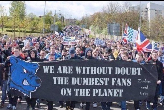 Image result for without doubt the dumbest fans on the planet